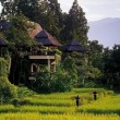 Infos pratiques Thaïlande