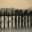 DSC_0619