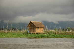 DSC_0706