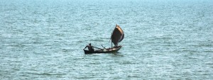 _DSC0031