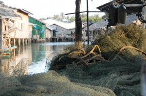 _DSC0147