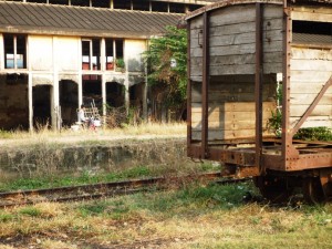 P1150140