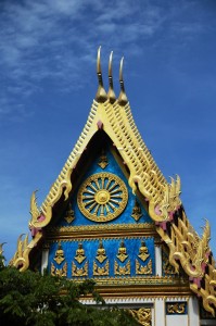_DSC0050