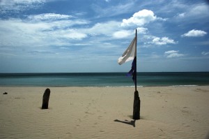 _DSC0073