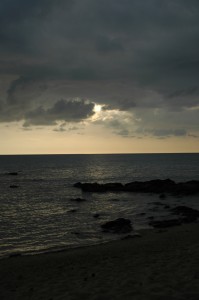 _DSC0394
