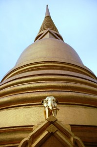 _DSC0558