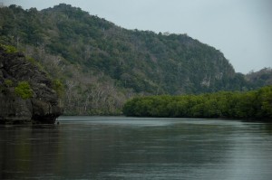 _DSC0565