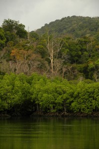 _DSC0580